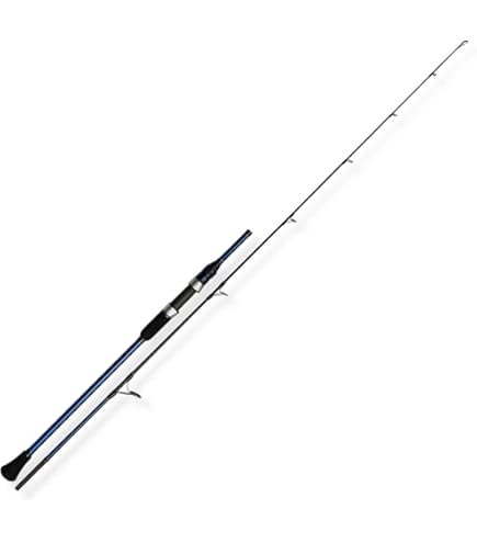 Amazon | Goture POLLUX Ⅱ Basic スロージギングロッド 釣り竿 ベイト