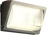 RAB WP2H150QTQRW Wallpack 150W, Metal Halide QT HPF Quartz Restrike, White Color [並行輸入品]