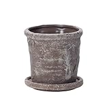 Paseo Terra Cotta Planter IG-10C