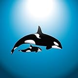 Wallmonkeys Orca Whale with Baby Peel and Stick Wall Decals WM62230 (48 in H x 48 in W) [並行輸入品]