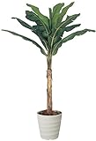 造花アート・観葉植物　バナナ2.0＜ 就任祝い 昇進祝い 昇任祝いに ＞