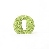 A plus floral art インテリアグリーン イニシャルモス 小文字 [ o ] アルファベット オブジェ 置物 苔 イニシャル 雑貨 北欧風 インテリア