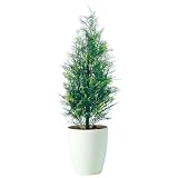 エフプランター 人工観葉植物-ヒバ-90-7号鉢-RP225