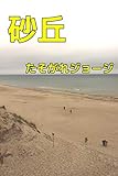 砂丘