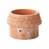 GREENHOUSE スマイルプランター S 3193-B ハウス B