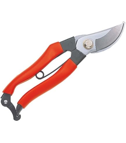 Amazon | キンボシ(Kinboshi) 兼次 鋏 剪定鋏 ステンレス8 200mm 2248