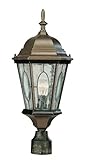 Trans Globe Lighting 4716 BK 1-Light Post Lantern, Black [並行輸入品]