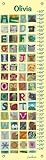 おもちゃ Oopsy daisy Animal Alphabet Growth Chart by Maria Carluccio 12 by 42 Inches [並行輸入品]
