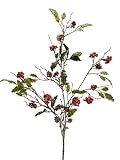 クラブパック12の赤とブラウンPine Cone and Hollyスプレー36 "