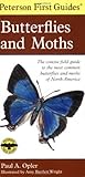 Houghton Mifflin 102823 First Guide To Butterflies Opler and Peterson