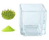 花市場直送便 ミニチュアガラス イソギンチャクM グリーン & カラーサンド ライトグリーン & 植え込み用グラス ニューブロックS