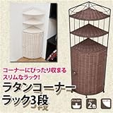 ラタンコーナーラック 【3段】 木製/スチール 幅21.5cm アンティーク調 ホワイト(白) 【完成品】【代引不可】 [並行輸入品]