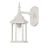 Acclaim 5188TW/SD Craftsman Collection 1-Light Wall Mount Outdoor Light Fixture, Textured White [並行輸