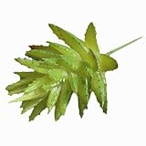 exteren美しい人工多肉植物アロエフェイク花リーフPlum Blossom Floralウェディングパーティーホームインテリア 12*6cm グリーン