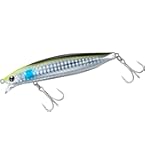 Amazon | ダイワ(DAIWA) ショアラインシャイナーZ バーティス R