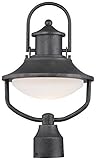 Minka Lavery 8136-173-L Crest Ridge LED Outdoor Lantern, Forged Silver Finish [並行輸入品]