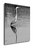 AshleyキャンバスGreat Blue Heron Reflecting Pondで近くミネアポリスミネソタ、ag6460822 25" x 20 6460822-AC2PB20