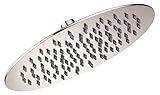 Danze D460074BN Drench Round Rain Showerhead, 10', Brushed Nickel [並行輸入品]