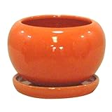 インテリアポット アイシー オレンジ 皿付 (穴有) 14cm 4個入り／植木鉢