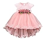 (ビーツリー) Betree ベビー フォーマル ドレス 花柄 レース チュール フレアスカート 結婚式 パーティ セレモニー 女の子 (90, ピンク)