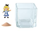 花市場直送便 ミニチュアガラス アリスちゃん & カラーサンド ベージュ & 植え込み用グラス ニューブロックS