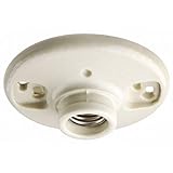 Leviton 49875-2 Outlet Box Lampholder, Single Circuit by Leviton