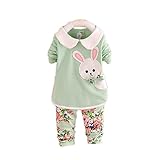 Laparc (ラパルク) うさぎ アンサンブル プルオーバー ベビー キッズ ピンク ライトグリーン ( 73cm 80cm 90cm 100cm ) 長袖 ズボン (90cm, 薄緑)