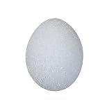 FloraCraft Styrofoam Eggs 2 1//2-Inch-by-1 7/8-Inch Egg Hen 6 Per Package [並行輸入品]