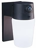 Heath/Zenith SL-5610-BZ-B Entryway Motion-Sensing Security Light, Bronze [並行輸入品]