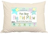 Bed Pillow For Growing Kids Not Quite Ready For An Adult Size. Delicate Handmade Organic Cotton Shel