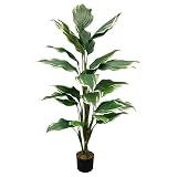 光触媒・人工観葉植物 ホスタ 黒(鉢の色)