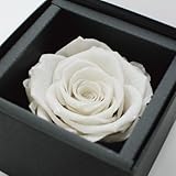 プリザーブドフラワー ダイヤモンドローズ (プラチナホワイト)