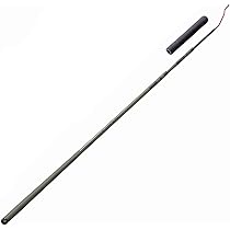 41Nsnsx-RqL._AC_UL210_SR210,