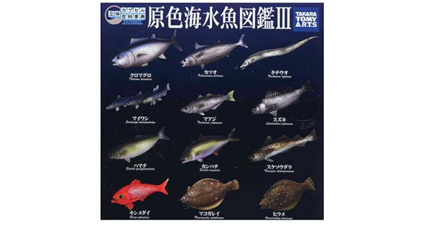 公式ショップ 原色海水魚図鑑 コンプセット その他 フィギュア 8 122 Laeknavaktin Is