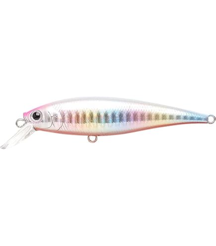 Amazon.co.jp: ラッキークラフト(LUCKY CRAFT) ビーフリーズ 78LB F