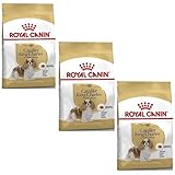 ロイヤルカナン BHN キャバリア キング チャールズ 成犬・高齢犬用 1.5kg×3個セット