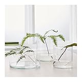 ガラス製　3点セット[Candy Style　アイテムセット] [並行輸入品]