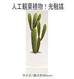 人工観葉植物 光触媒加工観葉植物 造花 サボテン （高さ約60ｃｍ） ＨＧｈｇレウス60ｃｍ