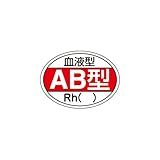 ヘルメット用ステッカー 血液型(AB型) 10枚1組 HL-202
