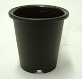 プラ鉢 7.5cm 10個セット P-25 ウチョウ蘭 多肉植物 サボテン