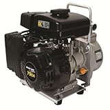 B E Pressure WP-1020R Water Transfer Pump, 1" Intake MNPT, 1" Outlet MNPT, 42 GPM, Black [並行輸入品]