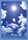 ブロッコリー ハイブリッドスリーブ 「あの夏の青空」