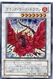 【遊戯王シングルカード】 《プロモーションカード》 ブラック・ローズ・ドラゴン ウルトラレア dt04-jpb01