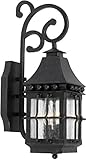 Elk 8449-E 19 by 6-Inch Taos Outdoor Wall Lantern with Seeded Glass, Espresso Finish [並行輸入品]