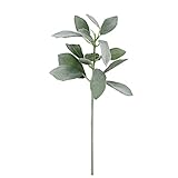 サルビアピック FXLS0023GR