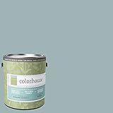 Inspired Eggshell Interior Paint, Water .04, Gallon [並行輸入品]