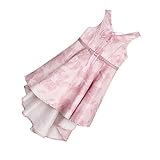 Baosity ワンピース　ドレス　女の子　ベビー　可愛い　刺繍　ちょう結び　スカート　花　ワローテール　パーティー　式典　行事　コンサート　３色５サイズ　　　　 - ピンク, L