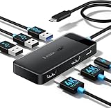 HDMI 2つ ハブ USB C ドッキングステーション 6 in 1 Lemorele 4K@30Hz デュアル HDMI 拡張 2画面出力 100W PD急速充電 5Gbps高速データ転送 USB A3.0 *1+USB A2.0 *2 MacBook/Surface Go/Samsung他のタイプC デバイス対応 在宅勤務/会議/展覧会 軽量