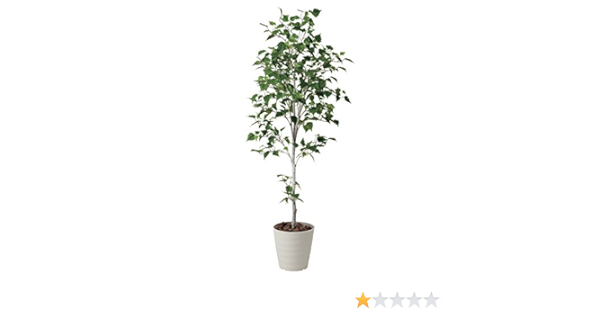 在庫処分大特価 人工観葉植物 ピュアメイト 白樺 180cm 送料無料 光触媒 消臭 インテリア 大型 造花 観葉植物 Elhilo Mx 在庫処分大特価 人工観葉植物 ピュアメイト 白樺 180cm 送料無料 光触媒 消臭 インテリア 大型 造花 観葉植物 Elhilo Mx