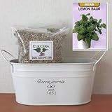 レモンバームの栽培セット/標準セット（液体肥料なし）プランターホワイト仕様